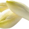 illustration Endive