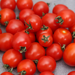 illustration ingrédient Tomate