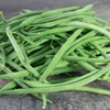 illustration Haricot vert