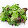 illustration Mesclun