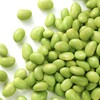 illustration Edamame
